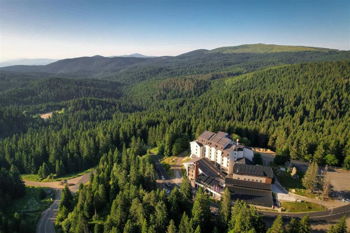 listing card gallery